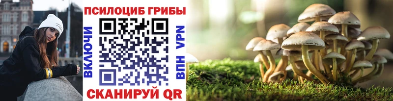 Псилоцибиновые грибы мухоморы  Астрахань 